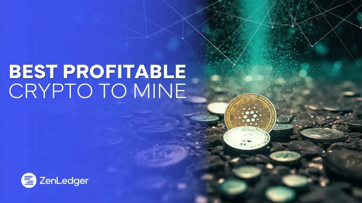 What to Mine A Guide to Profitable Cryptocurrencies